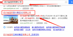 四川省宜賓普什集團(tuán)3D有限公司與我司做網(wǎng)站推廣項(xiàng)目
