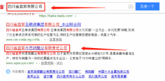 四川省宜賓市思坡醋業(yè)有限責任公司與我司做網站設計項目